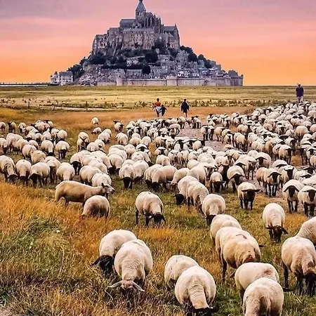 Le Refuge Marin *