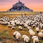 Le Refuge Marin *